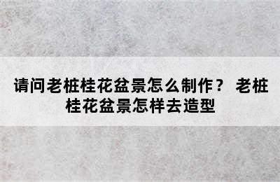 请问老桩桂花盆景怎么制作？ 老桩桂花盆景怎样去造型